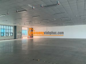 cho-thue-2300m2-kho-xuong-ngan-han-tai-binh-xuyen (1)