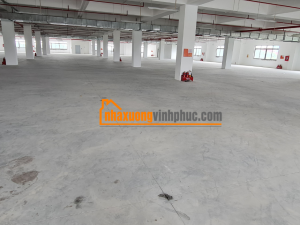 cho-thue-nha-xuong-trong-kcn-binh-xuyen